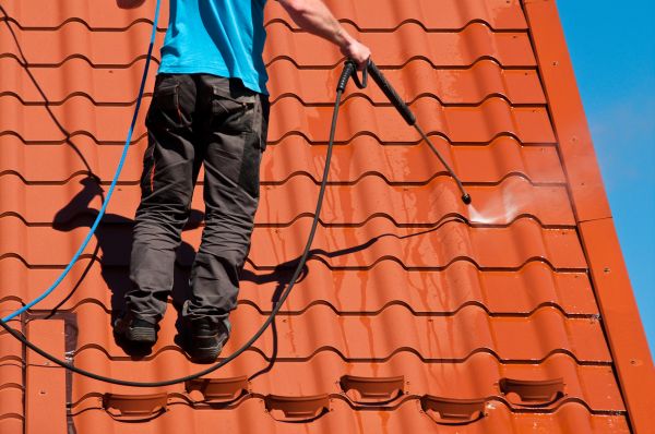Livonia Roof Cleaning