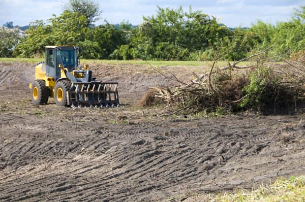 Livonia Land Clearing