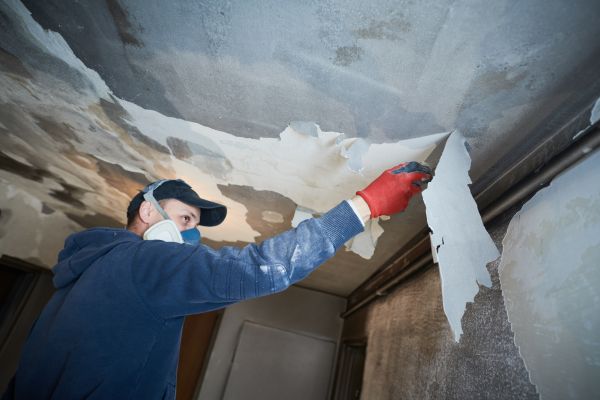 Livonia Fire Restoration