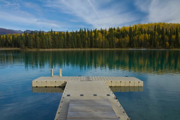 Livonia Dock Service